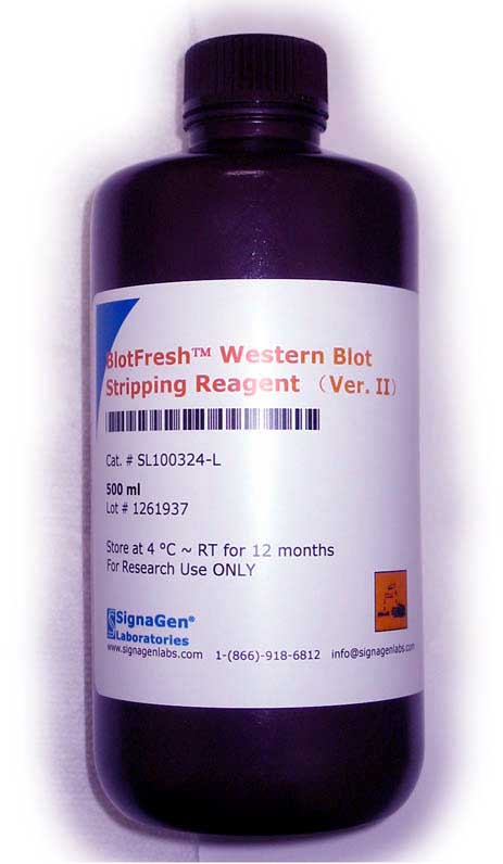 BlotFresh Plus Western Blot Stripping Reagent - Click Image to Close